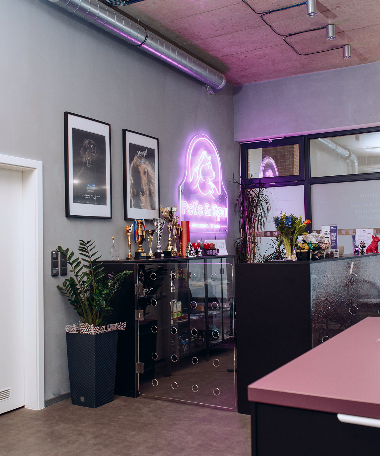 Interiér salonu Pet’s & Spa