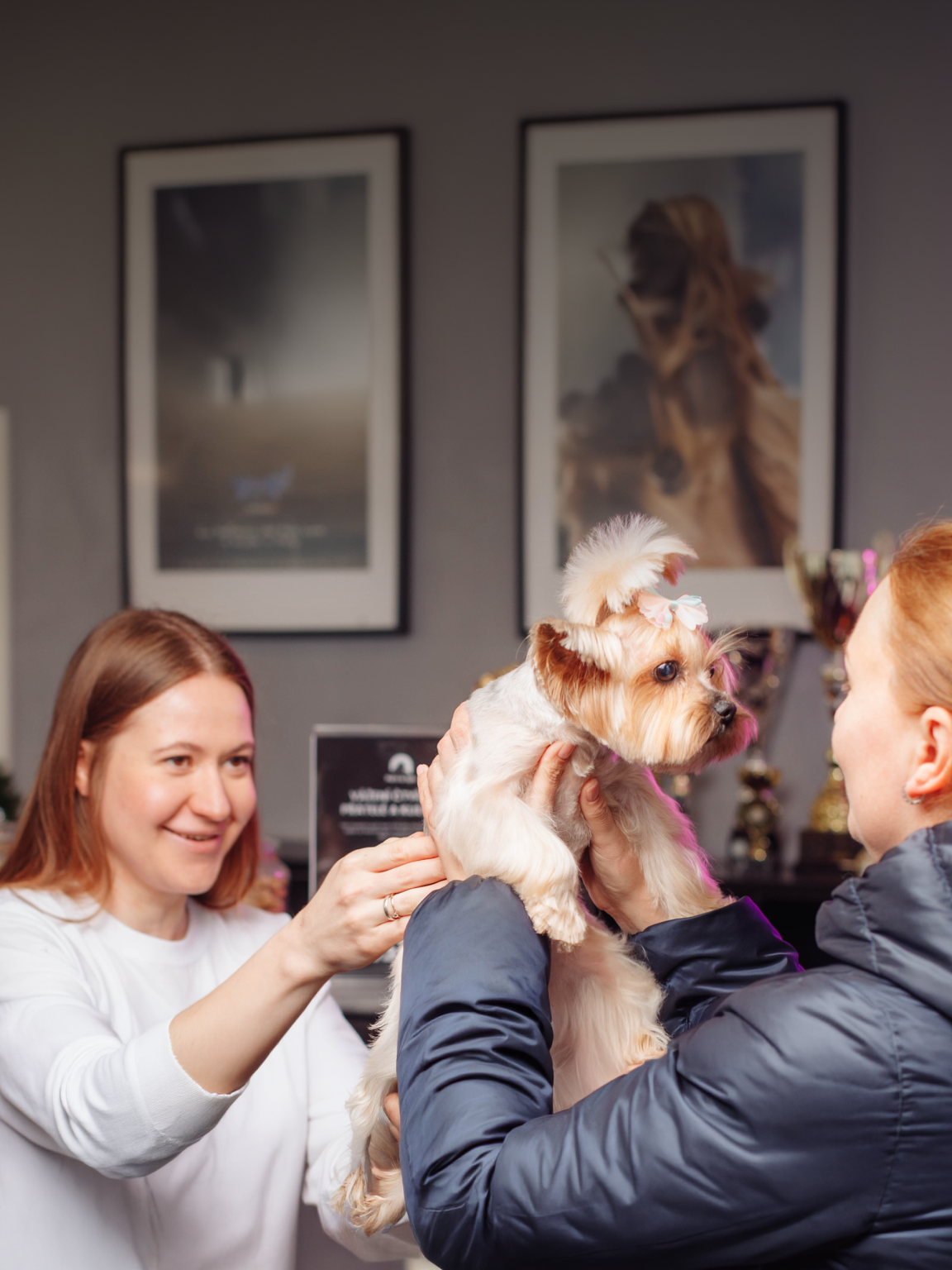 Bonusový systém Pet’s & Spa
