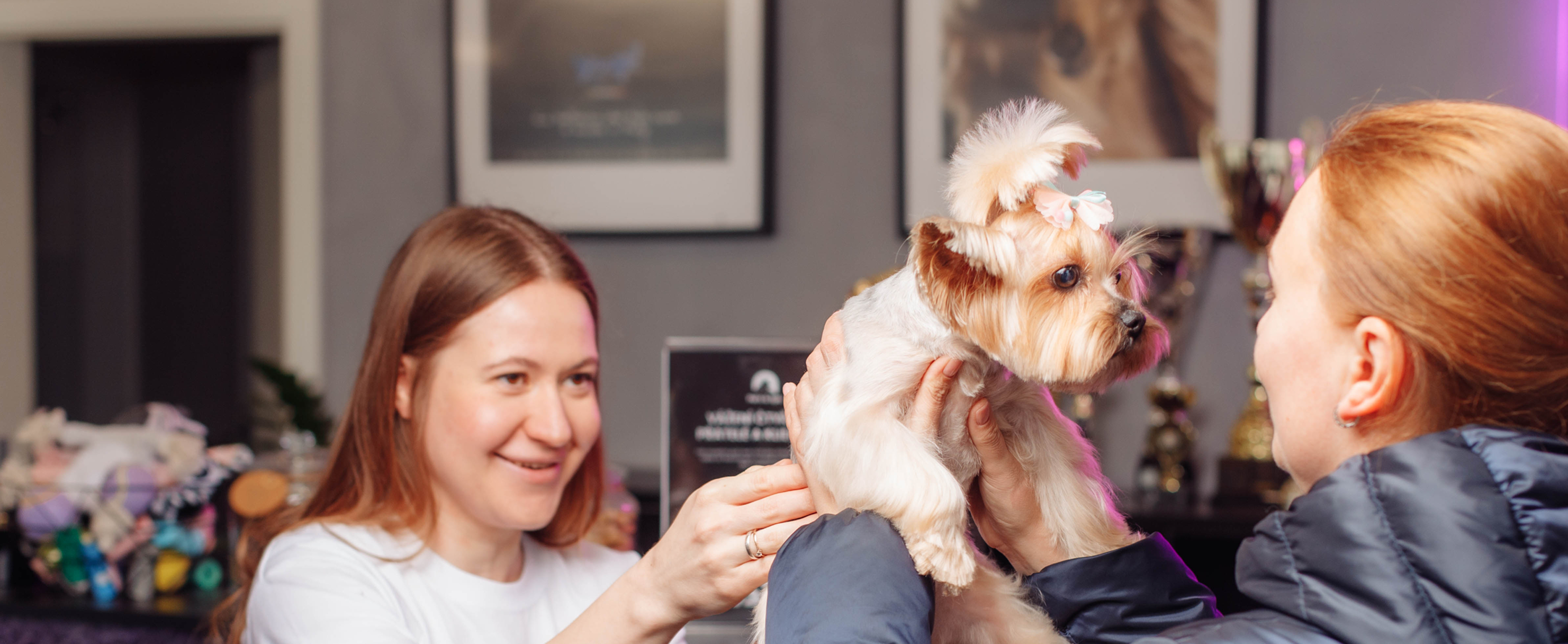 Bonusový systém Pet’s & Spa